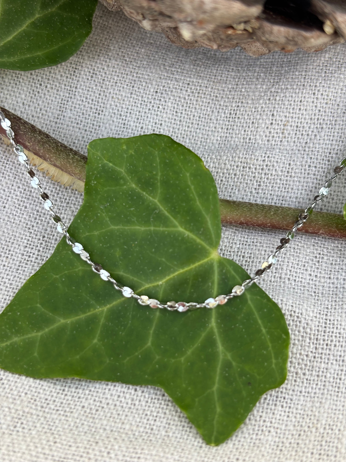 Collier aster
