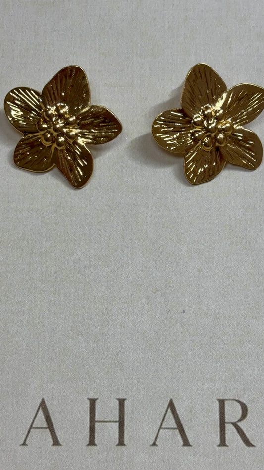 Boucle oreille ana