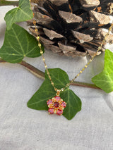 Collier debby