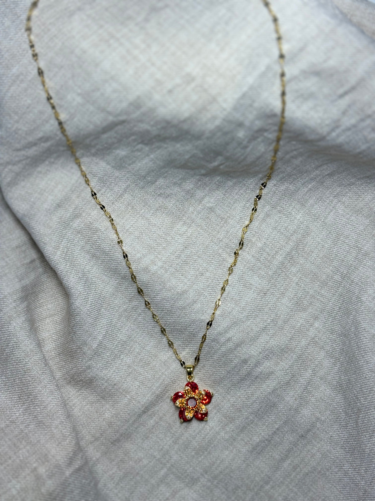 Collier debby