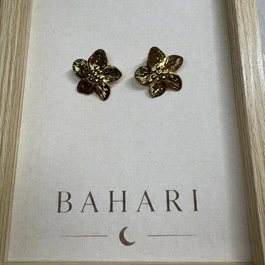 Boucles d'oreilles